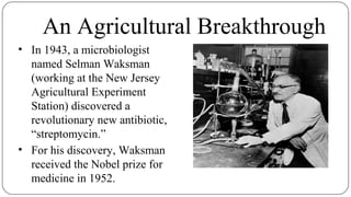 An Agricultural Breakthrough
• In 1943, a microbiologist
named Selman Waksman
(working at the New Jersey
Agricultural Experiment
Station) discovered a
revolutionary new antibiotic,
“streptomycin.”
• For his discovery, Waksman
received the Nobel prize for
medicine in 1952.
 