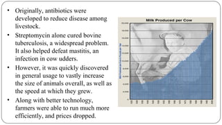 • Originally, antibiotics were
developed to reduce disease among
livestock.
• Streptomycin alone cured bovine
tuberculosis, a widespread problem.
It also helped defeat mastitis, an
infection in cow udders.
• However, it was quickly discovered
in general usage to vastly increase
the size of animals overall, as well as
the speed at which they grew.
• Along with better technology,
farmers were able to run much more
efficiently, and prices dropped.
 