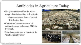 Antibiotics in Agriculture Today
• No system that verifies the actual
usage of antimicrobials in livestock.
–Estimates come from sales and
distribution data
• Cause for Concern: overuse of
antibiotics used in humans AND in
livestock.
• Sub-therapeutic use in livestock for
“routine prophylaxis”
Source: www.occupyforanimals.org
 