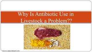 Why Is Antibiotic Use in
Livestock a Problem??
Source: www.takepart.com
 