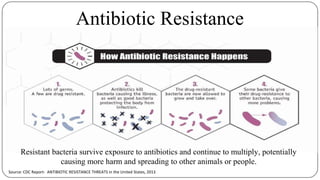 Antibiotic Resistance
Source: CDC Report- ANTIBIOTIC RESISTANCE THREATS in the United States, 2013
Resistant bacteria survive exposure to antibiotics and continue to multiply, potentially
causing more harm and spreading to other animals or people.
 