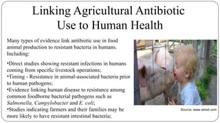 Linking Agricultural Antibiotic
Use to Human Health
Many types of evidence link antibiotic use in food
animal production to resistant bacteria in humans.
Including:
•Direct studies showing resistant infections in humans
coming from specific livestock operations;
•Timing - Resistance in animal-associated bacteria prior
to human pathogens;
•Evidence linking human disease to resistance among
common foodborne bacterial pathogens such as
Salmonella, Campylobacter and E. coli;
•Studies indicating farmers and their families may be
more likely to have resistant intestinal bacteria;
Source: www.wired.com
 