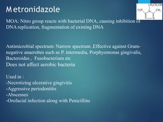 M etronidazole
MOA: Nitro group reacts with bacterial DNA, causing inhibition of
DNA replication, fragmentation of existing DNA
Antimicrobial spectrum: Narrow spectrum .Effective against Gram-
negative anaerobes such as P. intermedia, Porphyomonas gingivalis,
Bacteroides , Fusobacterium etc
Does not affect aerobic bacteria
Used in :
-Necrotizing ulcerative gingivitis
-Aggressive periodontitis
-Abscesses
-Orofacial infection along with Penicillins
 