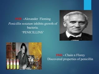 1928 -Alexander Fleming
Penicillin notatum inhibits growth of
bacteria.
‘PENICILLINS’
1941 - Chain n Florey
Discovered properties of penicillin
 