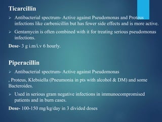 Ticarcillin
 Antibacterial spectrum- Active against Pseudomonas and Proteus
infections like carbenicillin but has fewer side effects and is more active.
 Gentamycin is often combined with it for treating serious pseudomonas
infections.
Dose- 3 g i.m/i.v 6 hourly.
Piperacillin
 Antibacterial spectrum- Active against Pseudomonas
, Proteus, Klebsiella (Pneumonia in pts with alcohol & DM) and some
Bacteroides.
 Used in serious gram negative infections in immunocompromised
patients and in burn cases.
Dose- 100-150 mg/kg/day in 3 divided doses
 