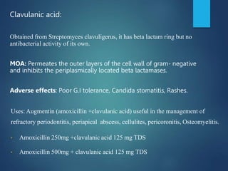 Clavulanic acid:
Obtained from Streptomyces clavuligerus, it has beta lactam ring but no
antibacterial activity of its own.
MOA: Permeates the outer layers of the cell wall of gram- negative
and inhibits the periplasmically located beta lactamases.
Adverse effects: Poor G.I tolerance, Candida stomatitis, Rashes.
Uses: Augmentin (amoxicillin +clavulanic acid) useful in the management of
refractory periodontitis, periapical abscess, cellulites, pericoronitis, Osteomyelitis.
▪ Amoxicillin 250mg +clavulanic acid 125 mg TDS
▪ Amoxicillin 500mg + clavulanic acid 125 mg TDS
 