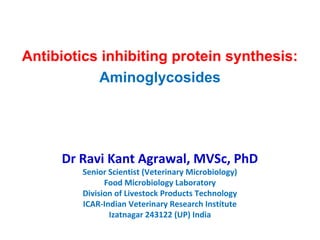 Antibiotics inhibiting protein synthesis:
Aminoglycosides
Dr Ravi Kant Agrawal, MVSc, PhD
Senior Scientist (Veterinary Microbiology)
Food Microbiology Laboratory
Division of Livestock Products Technology
ICAR-Indian Veterinary Research Institute
Izatnagar 243122 (UP) India
 