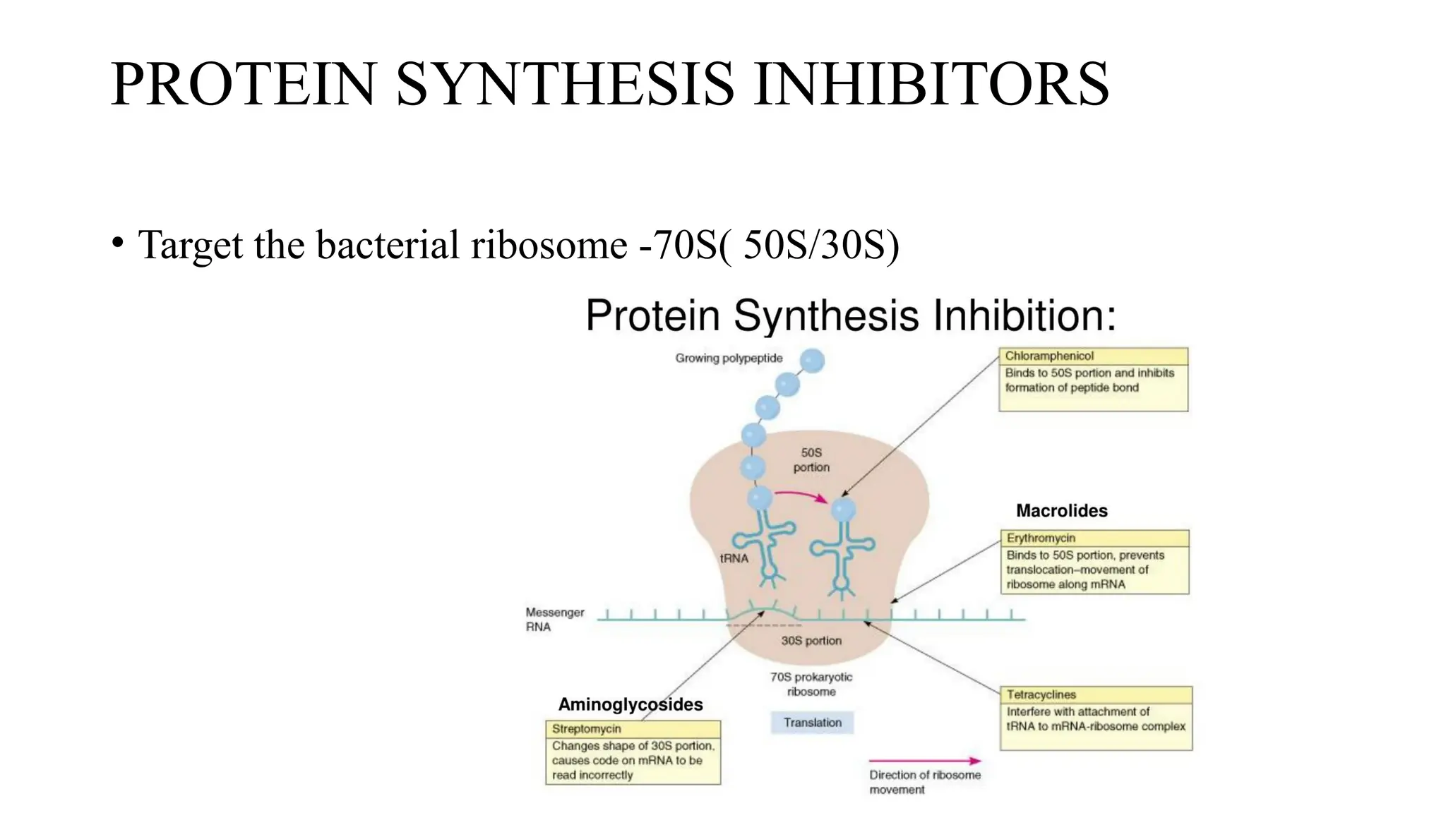 PROTEIN SYNTHESIS INHIBITORS
• Target the bacterial ribosome -70S( 50S/30S)
 