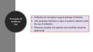 antibiotics in surgical practice | PDF