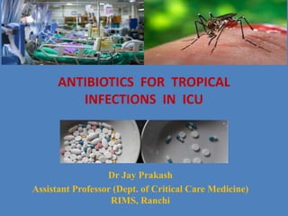ANTIBIOTICS FOR TROPICAL
INFECTIONS IN ICU
Dr Jay Prakash
Assistant Professor (Dept. of Critical Care Medicine)
RIMS, Ranchi
 