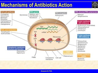 antibiotics-lecture-ppt