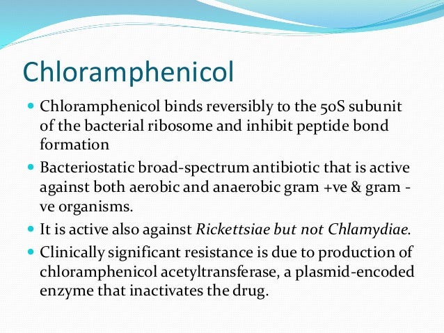 Chloramphenicol Antibiotic Mode Of Action