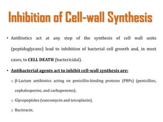 • Antibiotics act at any step of the synthesis of cell wall units
(peptidoglycans) lead to inhibition of bacterial cell growth and, in most
cases, to CELL DEATH (bactericidal).
• Antibacterial agents act to inhibit cell-wall synthesis are:
o β-Lactam antibiotics acting on penicillin-binding proteins (PBPs) (penicillins,
cephalosporins, and carbapenems).
o Glycopeptides (vancomycin and teicoplanin).
o Bacitracin.
Inhibition of Cell-wall Synthesis
 
