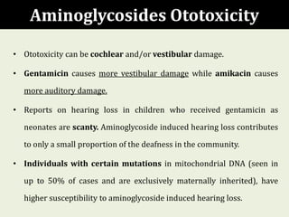 Aminoglycosides Ototoxicity
• Ototoxicity can be cochlear and/or vestibular damage.
• Gentamicin causes more vestibular damage while amikacin causes
more auditory damage.
• Reports on hearing loss in children who received gentamicin as
neonates are scanty. Aminoglycoside induced hearing loss contributes
to only a small proportion of the deafness in the community.
• Individuals with certain mutations in mitochondrial DNA (seen in
up to 50% of cases and are exclusively maternally inherited), have
higher susceptibility to aminoglycoside induced hearing loss.
 