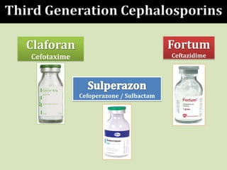 Cefoperazone / Sulbactam
Claforan
Cefotaxime
Fortum
Ceftazidime
Third Generation Cephalosporins
 
