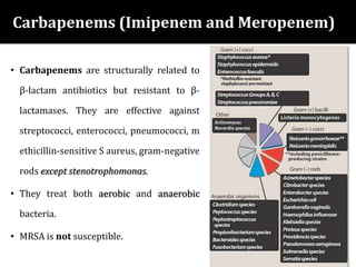 Carbapenems (Imipenem and Meropenem)
• Carbapenems are structurally related to
β-lactam antibiotics but resistant to β-
lactamases. They are effective against
streptococci, enterococci, pneumococci, m
ethicillin-sensitive S aureus, gram-negative
rods except stenotrophomonas.
• They treat both aerobic and anaerobic
bacteria.
• MRSA is not susceptible.
 