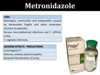 Metronidazole
USES
Meningitis, ventriculitis and endocarditis caused
by Bacteroides fragilis and other anaerobes
resistant to penicillin.
Serious intra-abdominal infections and C. difficile
colitis.
T. vaginalis infections.
ADVERSE EFFECTS PRECAUTIONS
Carcinogenic?!!
Seizures, sensory polyneuropathy.
Brownish discoloration of urine.
 