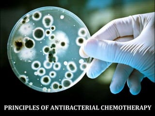 PRINCIPLES OF ANTIBACTERIAL CHEMOTHERAPY
 