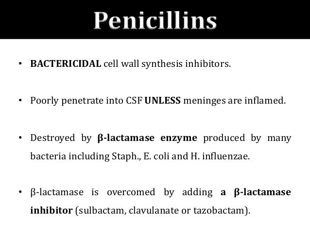 Ampicillin Dosage Neonates