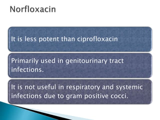 Noroxin Antibiotic 300mg