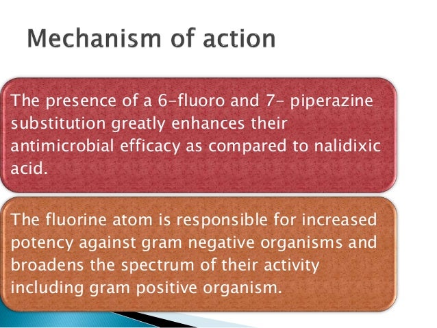 antibiotics part 1 Antibiotics targeting the 50s ribosomal subunit home ezine antibiotics targeting the 50s ribosomal subunit more precisely the 23s rrna part. antibiotics part 1 Antibiotics targeting the 50s ribosomal subunit home ezine antibiotics targeting the 50s ribosomal subunit more precisely the 23s rrna part.
