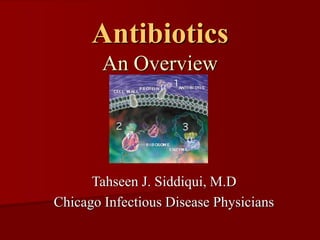 Antibiotics
An Overview
Tahseen J. Siddiqui, M.D
Chicago Infectious Disease Physicians
 