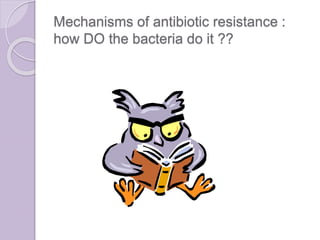 Mechanisms of antibiotic resistance :
how DO the bacteria do it ??
 