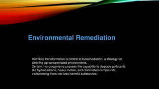 Environmental Remediation
• Microbial transformation is central to bioremediation, a strategy for
cleaning up contaminated environments.
• Certain microorganisms possess the capability to degrade pollutants
like hydrocarbons, heavy metals, and chlorinated compounds,
transforming them into less harmful substances.
 