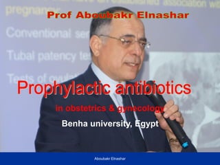 in obstetrics & gynecology
Benha university, Egypt
Aboubakr Elnashar
 
