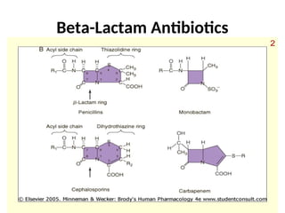 Beta-Lactam Antibiotics
 