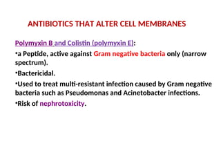 ANTIBIOTICS THAT ALTER CELL MEMBRANES
Polymyxin B and Colistin (polymyxin E):
•a Peptide, active against Gram negative bacteria only (narrow
spectrum).
•Bactericidal.
•Used to treat multi-resistant infection caused by Gram negative
bacteria such as Pseudomonas and Acinetobacter infections.
•Risk of nephrotoxicity.
 