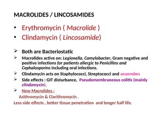 MACROLIDES / LINCOSAMIDES
• Erythromycin ( Macrolide )
• Clindamycin ( Lincosamide)
 Both are Bacteriostatic
 Macrolides active on: Legionella, Camylobacter, Gram negative and
positive infections for patients allergic to Penicillins and
Cephalosporins including oral infections.
 Clindamycin acts on Staphylococci, Streptococci and anaerobes
 Side effects : GIT disturbance, Pseudomembraneous colitis (mainly
clindamycin).
 New Macrolides :
Azithromycin & Clarithromycin .
Less side effects , better tissue penetration and longer half life.
 