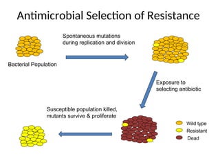 Antimicrobial Selection of Resistance
Bacterial Population
Spontaneous mutations
during replication and division
Exposure to
selecting antibiotic
Susceptible population killed,
mutants survive & proliferate
Wild type
Resistant
Dead
 