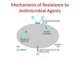 Mechanisms of Resistance to
Antimicrobial Agents
 