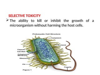 SELECTIVE TOXICITY
 The ability to kill or inhibit the growth of a
microorganism without harming the host cells.
 