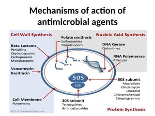 Mechanisms of action of
antimicrobial agents
 