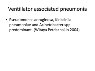 Ventillator associated pneumonia
• Pseudomonas aeruginosa, Klebsiella
pneumoniae and Acinetobacter spp
predominant. (Witaya Petdachai in 2004)
 