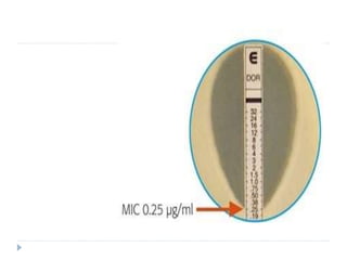 Antibiotics sensitivity testing (1).pptx