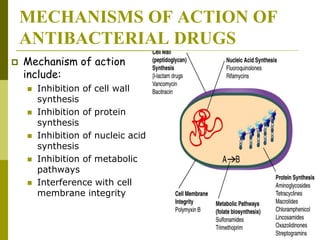 MECHANISMS OF ACTION OF
ANTIBACTERIAL DRUGS
 Mechanism of action
include:
 Inhibition of cell wall
synthesis
 Inhibition of protein
synthesis
 Inhibition of nucleic acid
synthesis
 Inhibition of metabolic
pathways
 Interference with cell
membrane integrity
 