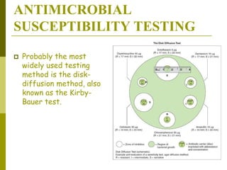 ANTIMICROBIAL
SUSCEPTIBILITY TESTING
 Probably the most
widely used testing
method is the disk-
diffusion method, also
known as the Kirby-
Bauer test.
 