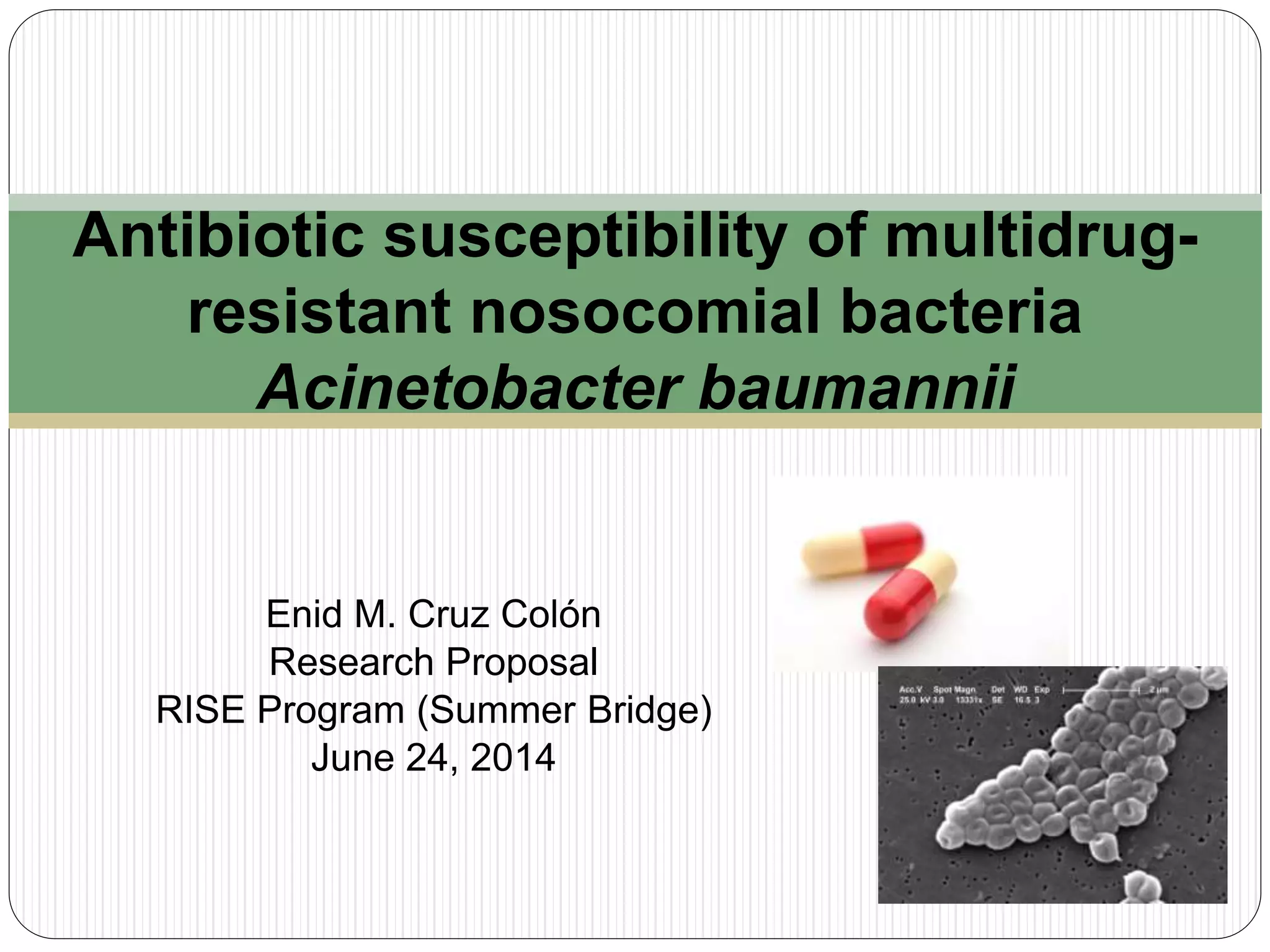Antibiotic susceptibility of multidrugresistant bacteria