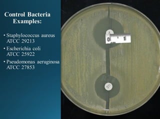 Antibiotic Sensitivity test (AST) | PDF