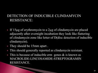 DETECTION OF INDUCIBLE CLINDAMYCIN
RESISTANCE:
 If 15µg of erythromycin to a 2µg of clindamycin are placed
adjacently after overnight incubation they look like flattering
of clindamycin zone like letter of D(disc detection of inducible
clindamycin).
 They should be 15mm apart .
 This should generally reported as clindamycin resistant.
 This is because of inducible erm genes & is known as
MACROLIDE-LINCOSAMIDE-STREPTOGRAMIN
RESISTANCE.
84
 