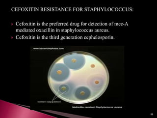 CEFOXITIN RESISTANCE FOR STAPHYLOCOCCUS:
 Cefoxitin is the preferred drug for detection of mec-A
mediated oxacillin in staphylococcus aureus.
 Cefoxitin is the third generation cephelosporin.
88
 