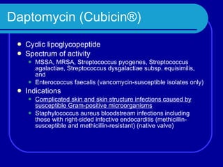 Daptomycin (Cubicin®) Cyclic lipoglycopeptide Spectrum of activity MSSA, MRSA, Streptococcus pyogenes, Streptococcus agalactiae, Streptococcus dysgalactiae subsp. equisimilis, and Enterococcus faecalis (vancomycin-susceptible isolates only)  Indications Complicated skin and skin structure infections   caused by susceptible Gram-positive microorganisms Staphylococcus aureus bloodstream infections including those with right-sided infective endocarditis (methicillin-susceptible and methicillin-resistant) (native valve) 