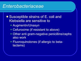 Enterobacteriaceae Susceptible strains of E. coli and Klebsiella are sensitive to Augmentin/Unasyn Cefuroxime (if resistant to above) Other anti gram-negative penicillins/cephs also work Fluoroquinolones (if allergic to beta-lactams) 