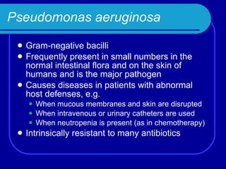 Pseudomonas aeruginosa Gram-negative bacilli Frequently present in small numbers in the normal intestinal flora and on the skin of humans and is the major pathogen Causes diseases in patients with abnormal host defenses, e.g. When mucous membranes and skin are disrupted  When intravenous or urinary catheters are used When neutropenia is present (as in chemotherapy) Intrinsically resistant to many antibiotics 