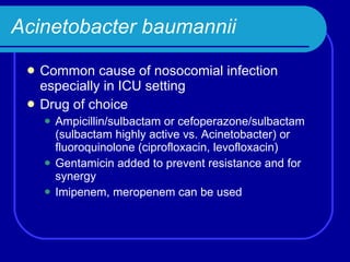 Acinetobacter baumannii Common cause of nosocomial infection especially in ICU setting Drug of choice Ampicillin/sulbactam or cefoperazone/sulbactam (sulbactam highly active vs. Acinetobacter) or fluoroquinolone (ciprofloxacin, levofloxacin) Gentamicin added to prevent resistance and for synergy Imipenem, meropenem can be used 