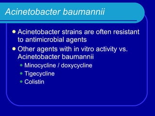Acinetobacter baumannii Acinetobacter strains are often resistant to antimicrobial agents Other agents with in vitro activity vs. Acinetobacter baumannii Minocycline / doxycycline Tigecycline Colistin 