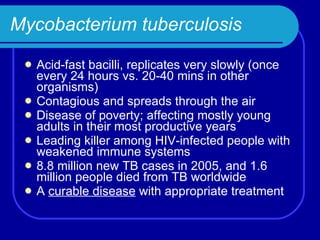 Mycobacterium tuberculosis Acid-fast bacilli, replicates very slowly (once every 24 hours vs. 20-40 mins in other organisms) Contagious and spreads through the air Disease of poverty; affecting mostly young adults in their most productive years Leading killer among HIV-infected people with weakened immune systems 8.8 million new TB cases in 2005, and 1.6 million people died from TB worldwide A  curable disease  with appropriate treatment 
